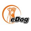 edog-australia-promotion.jpg
